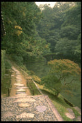334033 Kyoto path In Katsura Garden A4 Photo Print