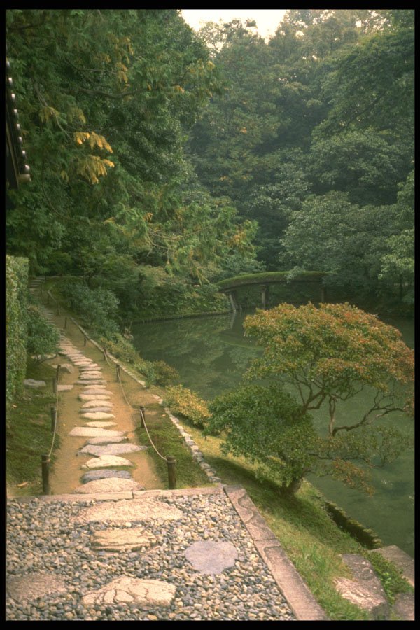 334033 Kyoto path In Katsura Garden A4 Photo Print