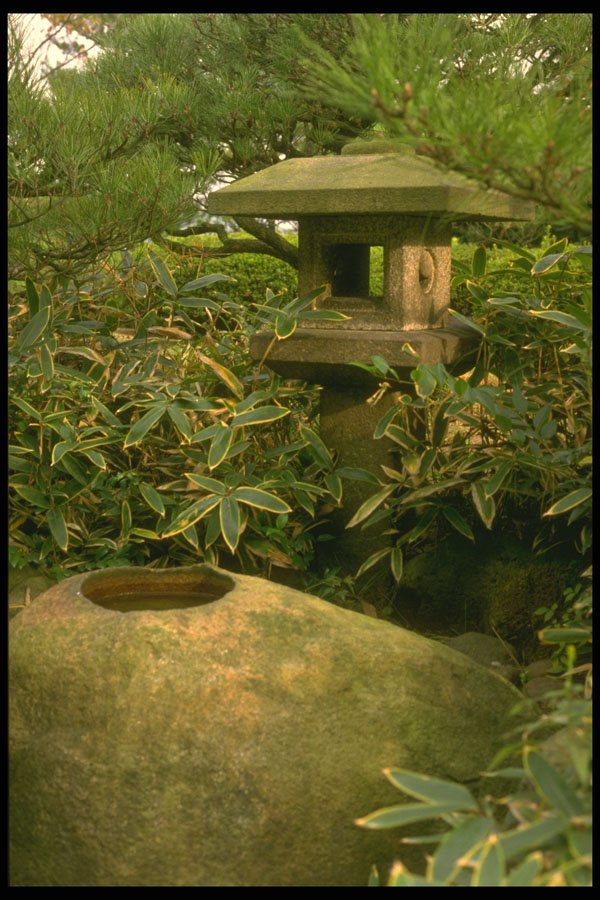 334038 Kyoto water Basin Nestled Among Variegated Foliage A4 Photo Print