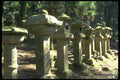 334047 Nara row Of Lanterns At Kasuga Shrine A4 Photo Print