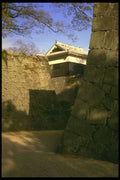 334061 Kumamoto between The Ramparts Of Kumamoto Castle A4 Photo Print