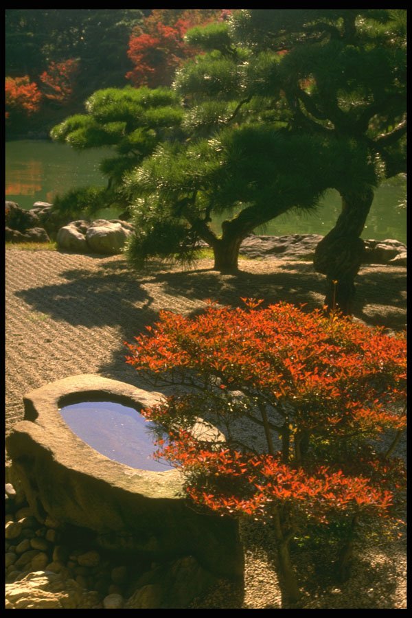 334062 Takamatsu Ritsurin Park, Water Basin A4 Photo Print
