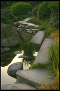 334066 Tokyo Kiyozumi, Stone Path A4 Photo Print
