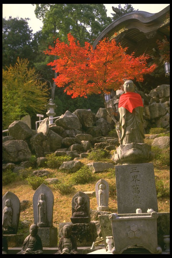 334069 Miyajima Buddha With Red Japanese Maple A4 Photo Print