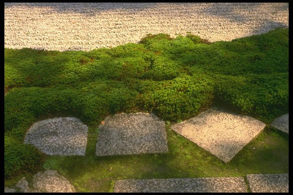 334075 Kyoto five Stepping Stones Embedded In Moss A4 Photo Print