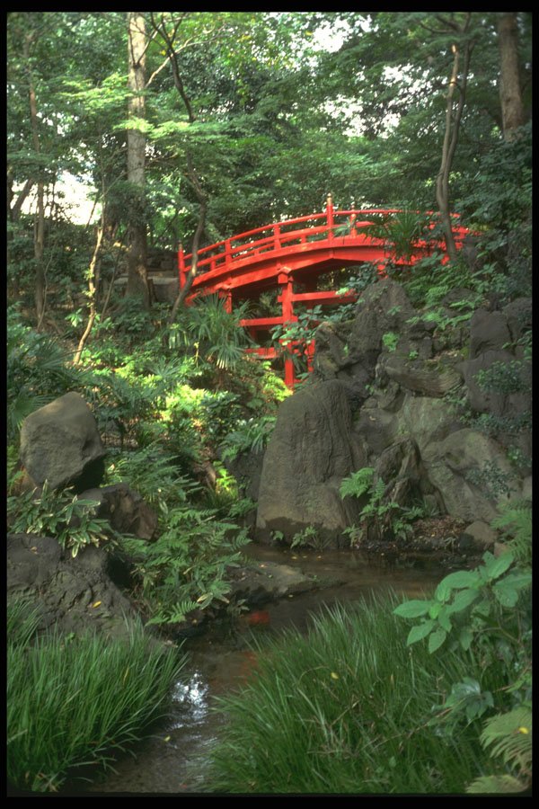 334086 Tokyo Korakuren, Kyoto Bridge A4 Photo Print