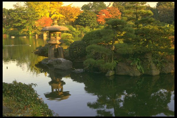 334093 Tokyo Kiyozumi, Garden Across River A4 Photo Print