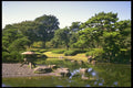 334098 Tokyo Imperial Palace, Lantern On Slope Of Pond A4 Photo Print