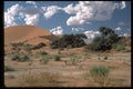 335018 Greenward Covering Fields Of Dune A4 Photo Print