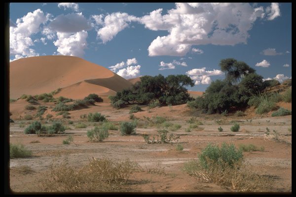 335018 Greenward Covering Fields Of Dune A4 Photo Print