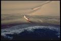 335047 Skeleton Coast A4 Photo Print