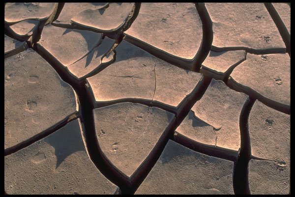 335050 The Namibia Desert A4 Photo Print