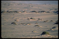 335067 Oryx Roaming The Desert A4 Photo Print