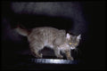 336000 Spooky A4 Photo Print