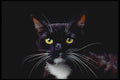 336011 I Tot I Taw ... A4 Photo Print
