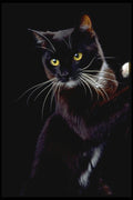 336012 Sylvester A4 Photo Print