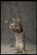 336036 Jumping Schmoo A4 Photo Print