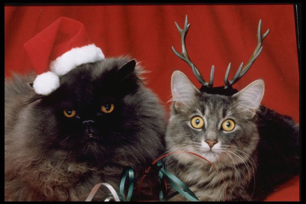 336055 T'was The Night Before Christmas A4 Photo Print