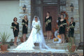 337008 Autumn Belles A4 Photo Print