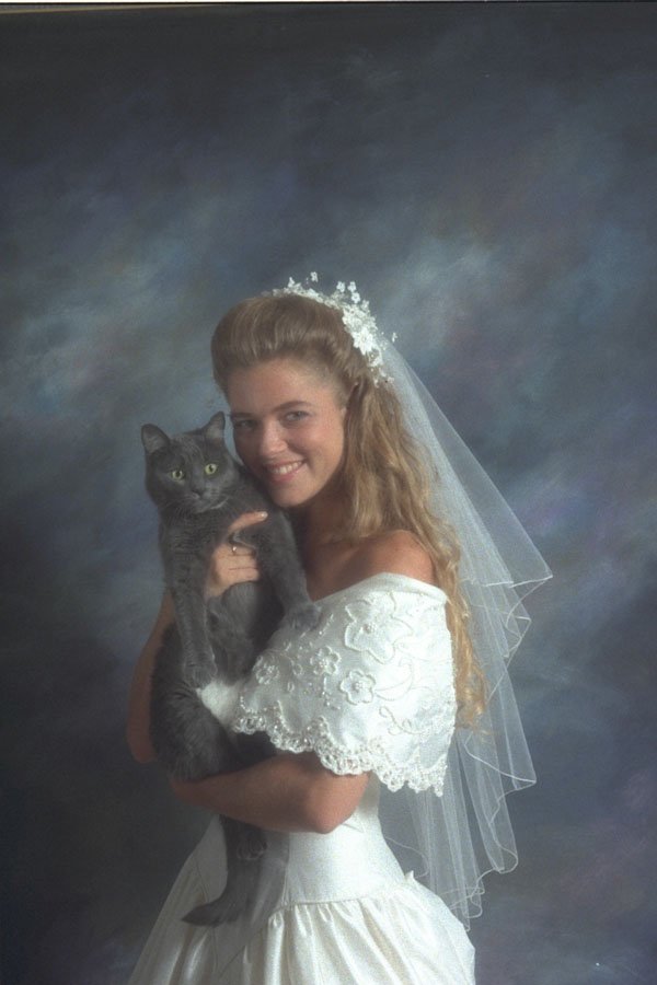 337013 Bride's Best Friend A4 Photo Print