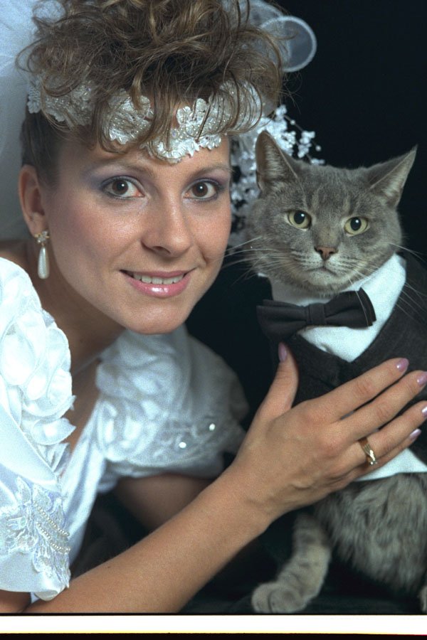 337025 Puss 'n Bride A4 Photo Print