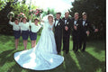 337051 Celebrate A4 Photo Print