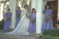 337067 Southern Belles A4 Photo Print