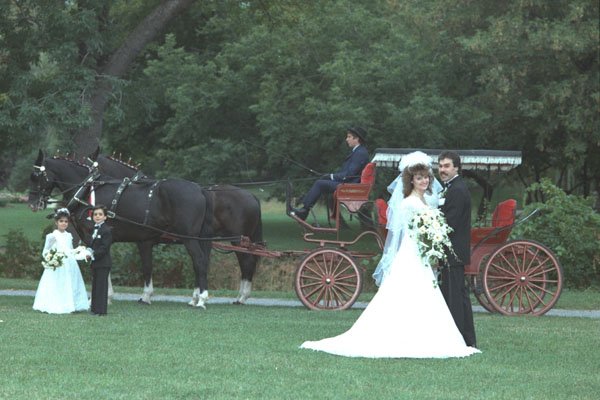 337071 Horse and carriage A4 Photo Print