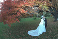 337078 Autumn Elegance A4 Photo Print