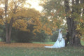 337079 Golden Moment A4 Photo Print