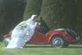 337082 Timeless Romance A4 Photo Print