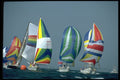 338014 Downwind Procession A4 Photo Print