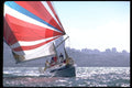 338027 Breezing Ahead A4 Photo Print