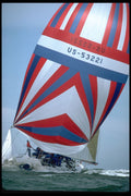 338032 Jubilation Close Reaching A4 Photo Print