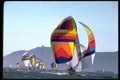 338038 Leader Of The Pack A4 Photo Print