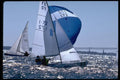 338041 Dinghies Sailing In Newport A4 Photo Print