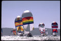338049 Racing On The Bay A4 Photo Print