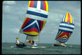 338055 Catch Me If You Can A4 Photo Print