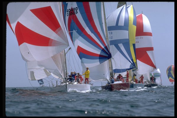 338057 Spinnaker Spectacular A4 Photo Print