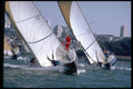 338067 Breezy Day On The Bay A4 Photo Print