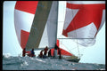 338076 Tango In Tampa A4 Photo Print