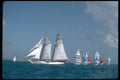 338081 Contemporary And Classic A4 Photo Print