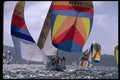 338086 Dazzling Downwind A4 Photo Print