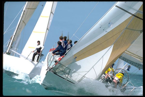 338090 Hard On The Wind A4 Photo Print