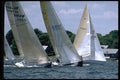 338098 Upwind Strategy A4 Photo Print