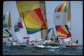 338099 Wind Driven A4 Photo Print