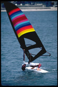 339004 Mission Bay, Head Dip A4 Photo Print