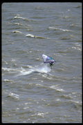 339036 Flying On The Mighty Mississippi A4 Photo Print