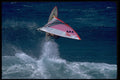 339072 O'Neill Cup 1983, Maui, Hawaii A4 Photo Print