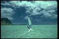 339073 Windglider World Championship, Mauritius A4 Photo Print